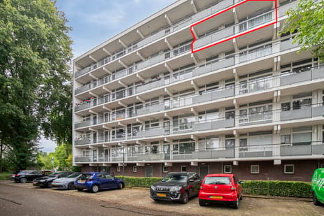 undefined main image