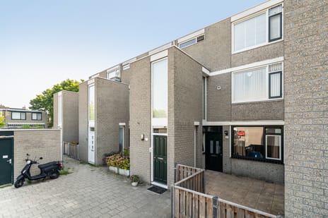 Hallant 21 main image
