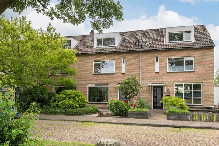 Druivenstraat 165 main image