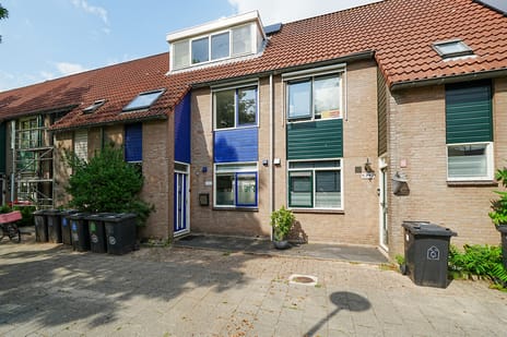 undefined main image