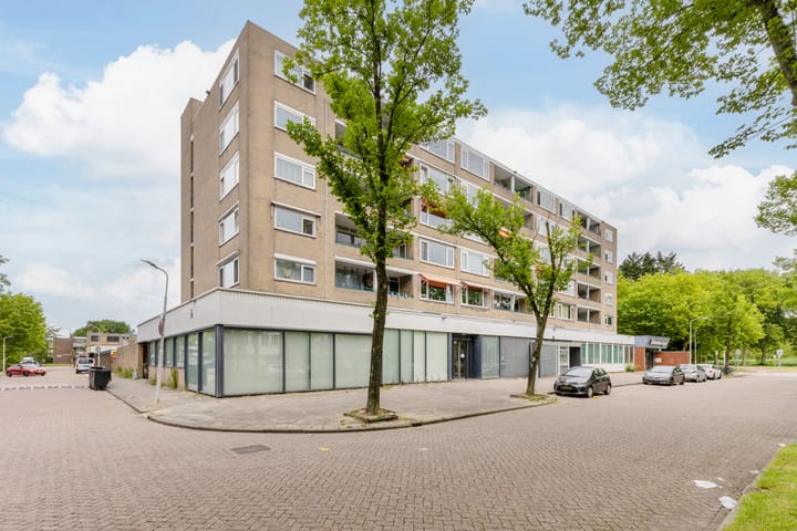 Spaansgroenstraat 16 main image