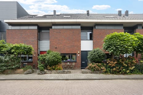 Graaf Gerolf 5 main image