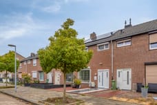 Afbeelding van Haakbusruwe 8 - Derde foto
