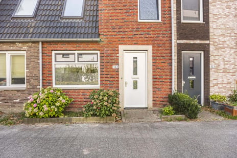 Bosgouw 322 secondary image