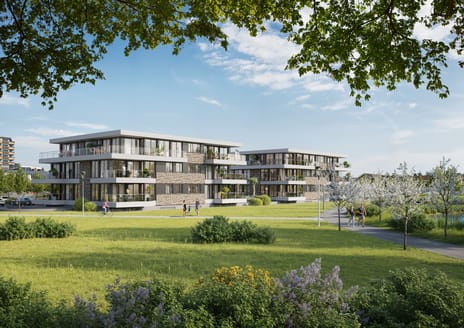 De Rechters van Park Dwingeland main image
