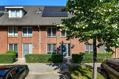 undefined main image