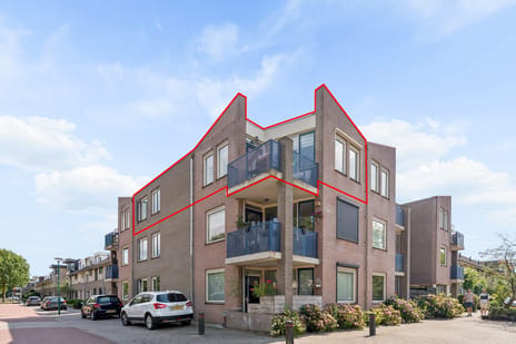 Afbeelding van Kaardenbol 56 - Tweede foto