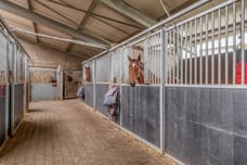 Afbeelding van Vaesrade 2-4 - Derde foto