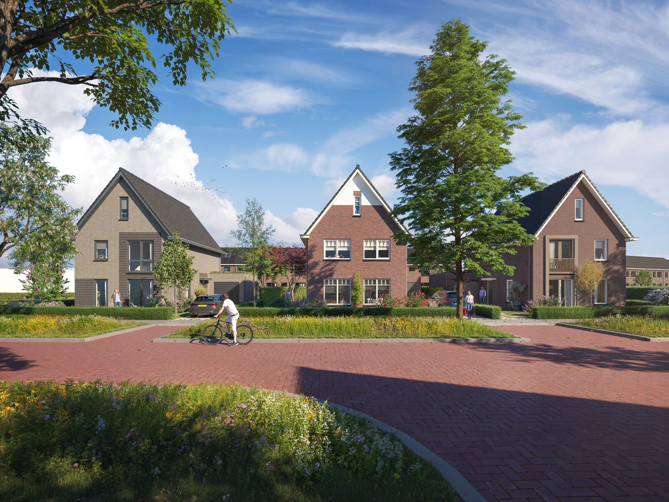 Foto 7 van In de Luwte Fase 4