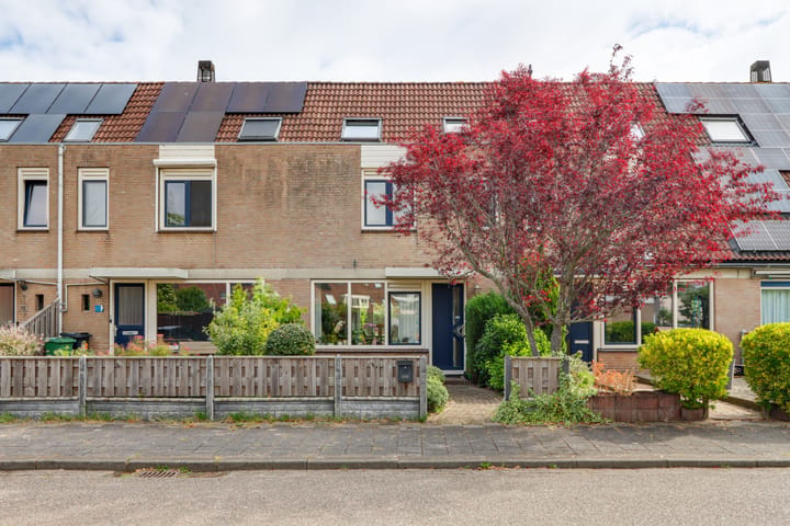 Albergerbos 120 main image