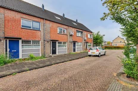 undefined main image