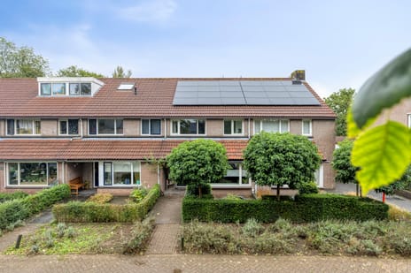 Afbeelding van Goudplevier 31 - Derde foto