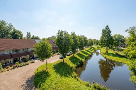 Afbeelding van Goudplevier 31 - Tweede foto