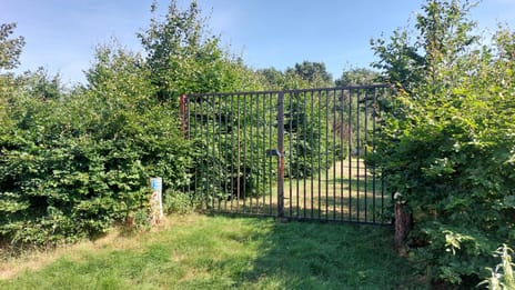 undefined main image