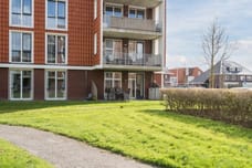 Afbeelding van Oeverwal 99 - Tweede foto