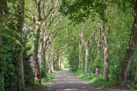 Laagduurswoude 18 secondary image