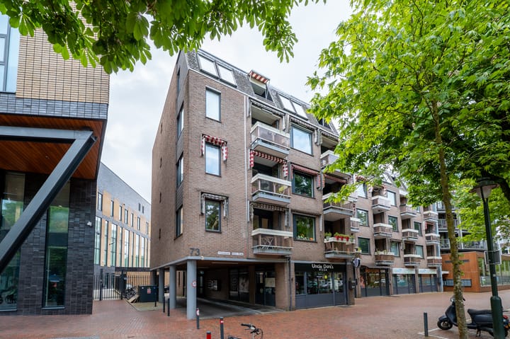 Groest 73-11 main image