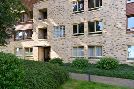 Zeshoven 33 tertiary image