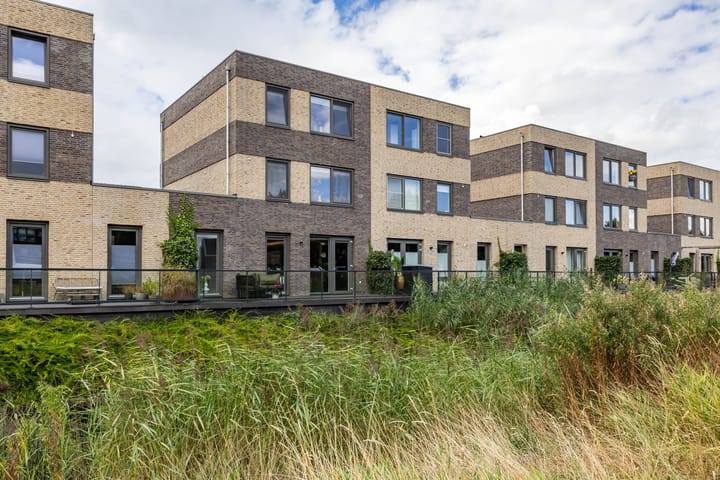 Drewerd 21 main image