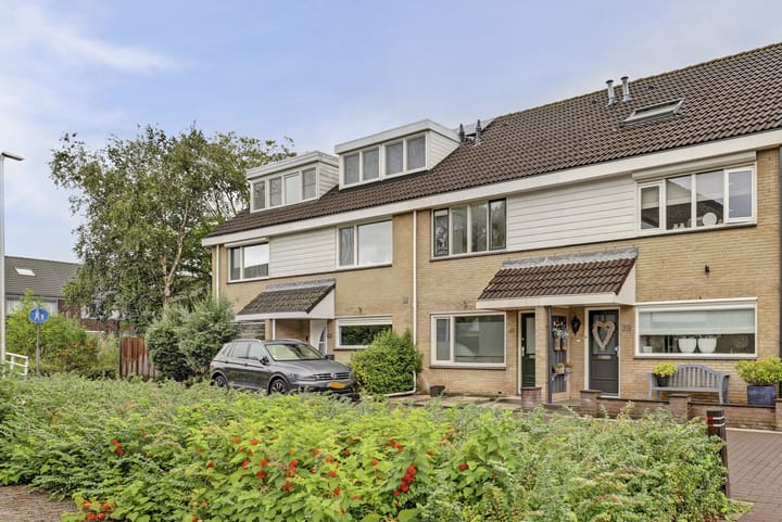 Papaverveld 41 main image