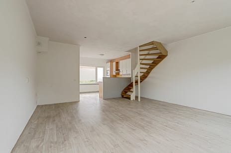 Papaverveld 41 secondary image