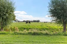 Afbeelding van Langelandsterweg 111 - Derde foto