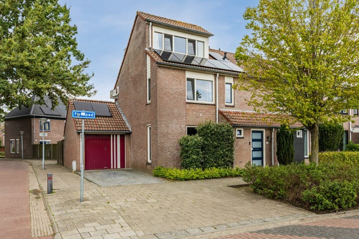 Lamberg 23 main image