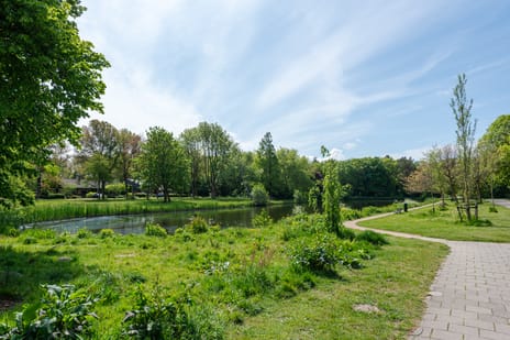 De Loet 5 tertiary image
