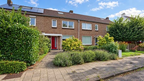 Daalstraat 91 main image