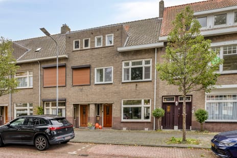 Singel 284 main image
