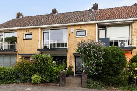 undefined main image