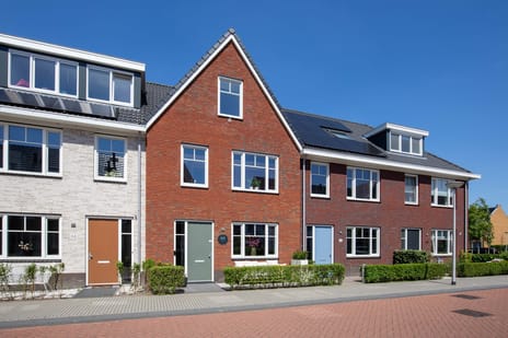 Knobbelzwaan 64 secondary image