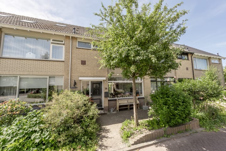 Ranonkelstraat 58 main image