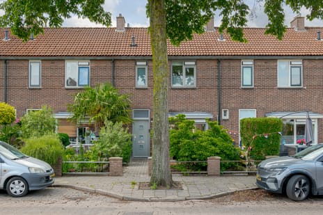 undefined main image