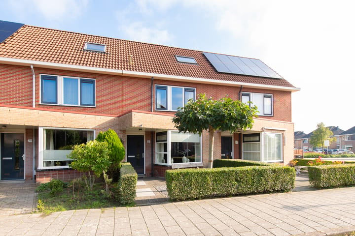 Roerdomp 81 main image