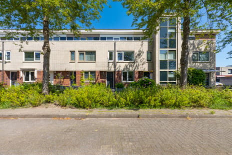 Jan van Nijlenhove 4 tertiary image