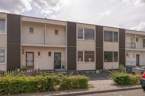 undefined main image