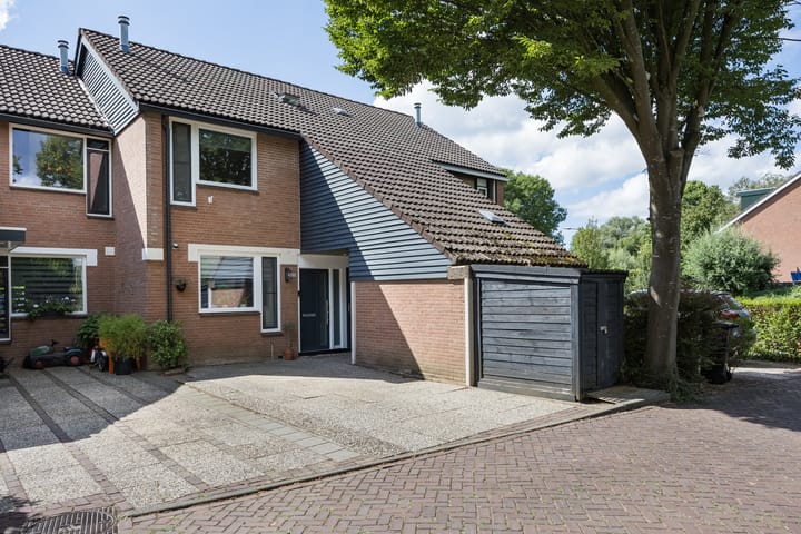 Braamkamp 60 main image