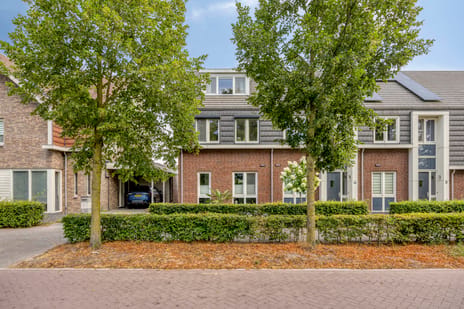 undefined main image