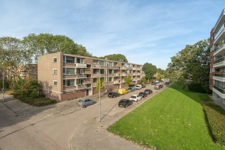 Dalenoord 105 main image