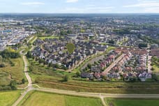 Afbeelding van Paardebloem 21 - Tweede foto