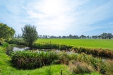 Afbeelding van Cissy van Marxveldtstraat 35 - Tweede foto