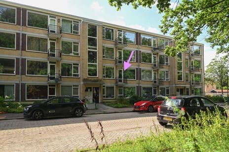 undefined main image