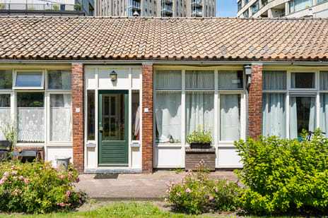 undefined main image