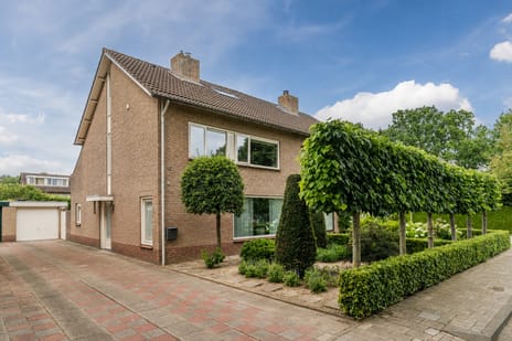 undefined main image