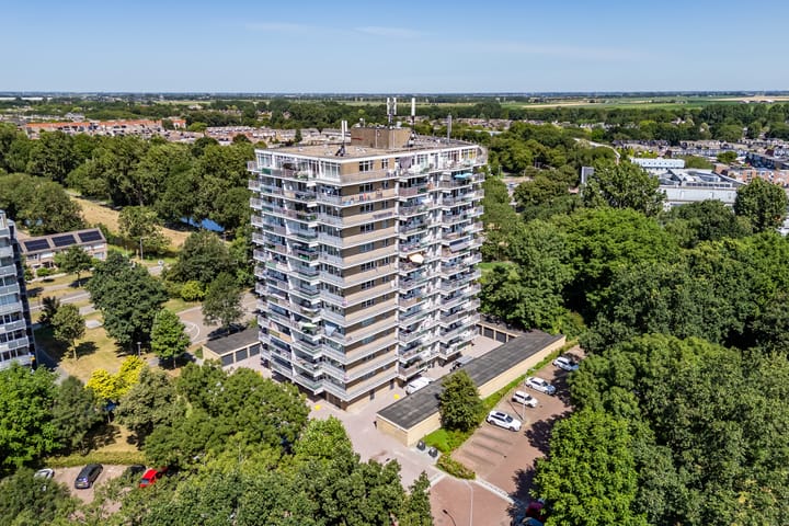 Lupinesingel 220 main image