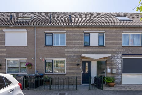 undefined main image