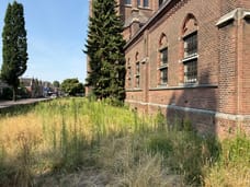 Afbeelding van Baroniestraat 26 - Derde foto