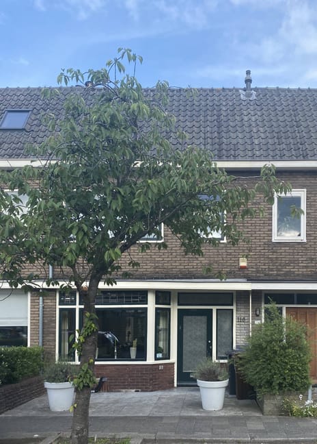 undefined main image