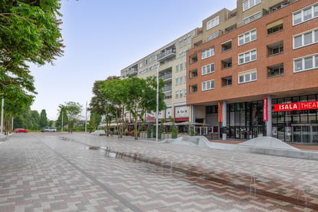 undefined main image